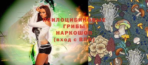 скорость Елизово