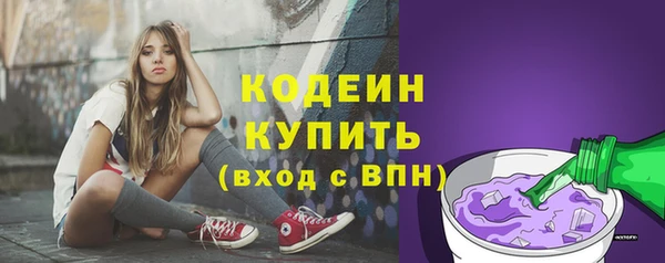 таблы Ельня