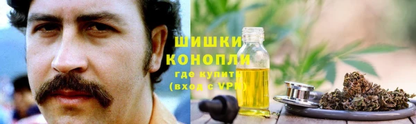 таблы Ельня