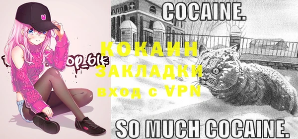 таблы Ельня