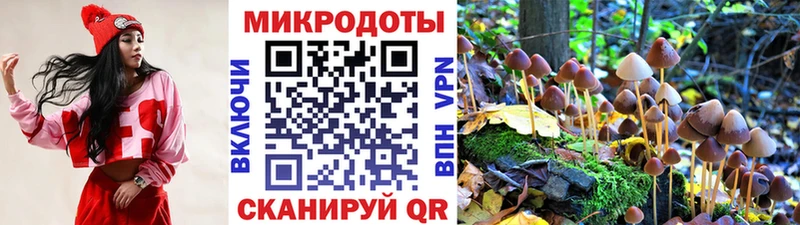 Галлюциногенные грибы MAGIC MUSHROOMS  Зеленокумск 