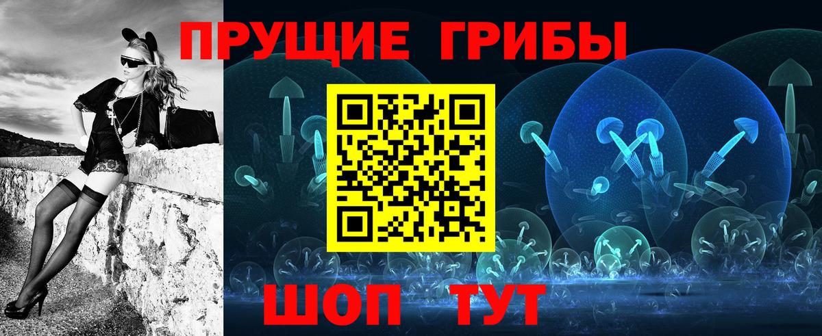 Псилоцибиновые грибы мицелий Зеленокумск